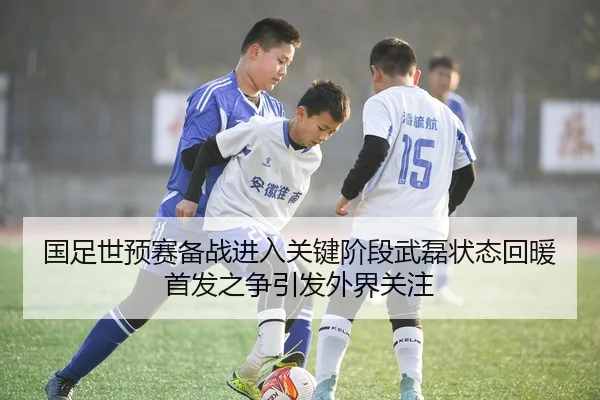 国足世预赛备战进入关键阶段武磊状态回暖首发之争引发外界关注